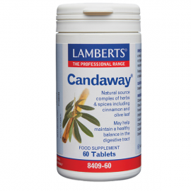 Lamberts Candaway 60 Tablets