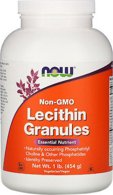 Now Foods Lecithin Granules  454g