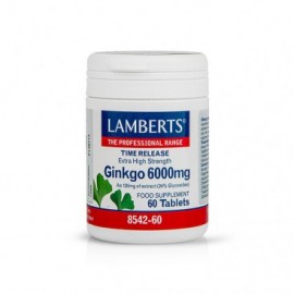 Lamberts Ginkgo 6000mg 60 ταμπλέτες